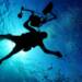 scuba diving 79606 1280 2023 12 07 205709