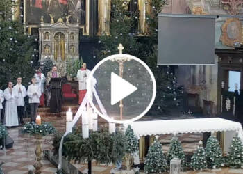 untitled design 6 2023 12 24 232819