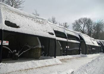 1604962 606804192732316 1513637371 n 2024 01 13 092407