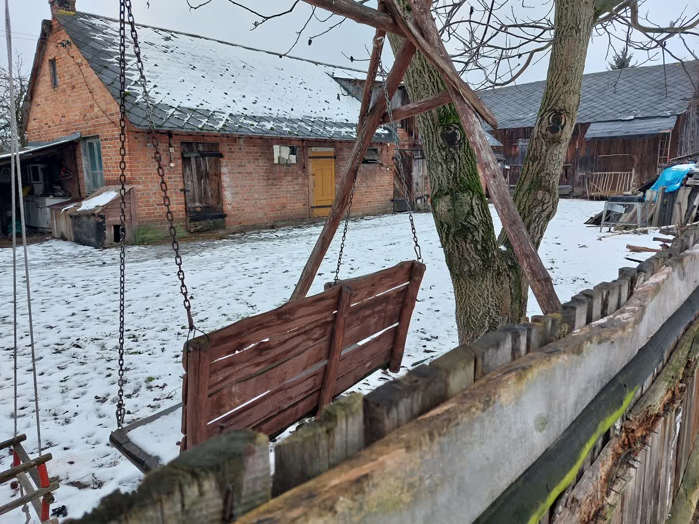 Wronów: martwe zwierzęta w opuszczonym gospodarstwie 2 20240118_083537.jpg