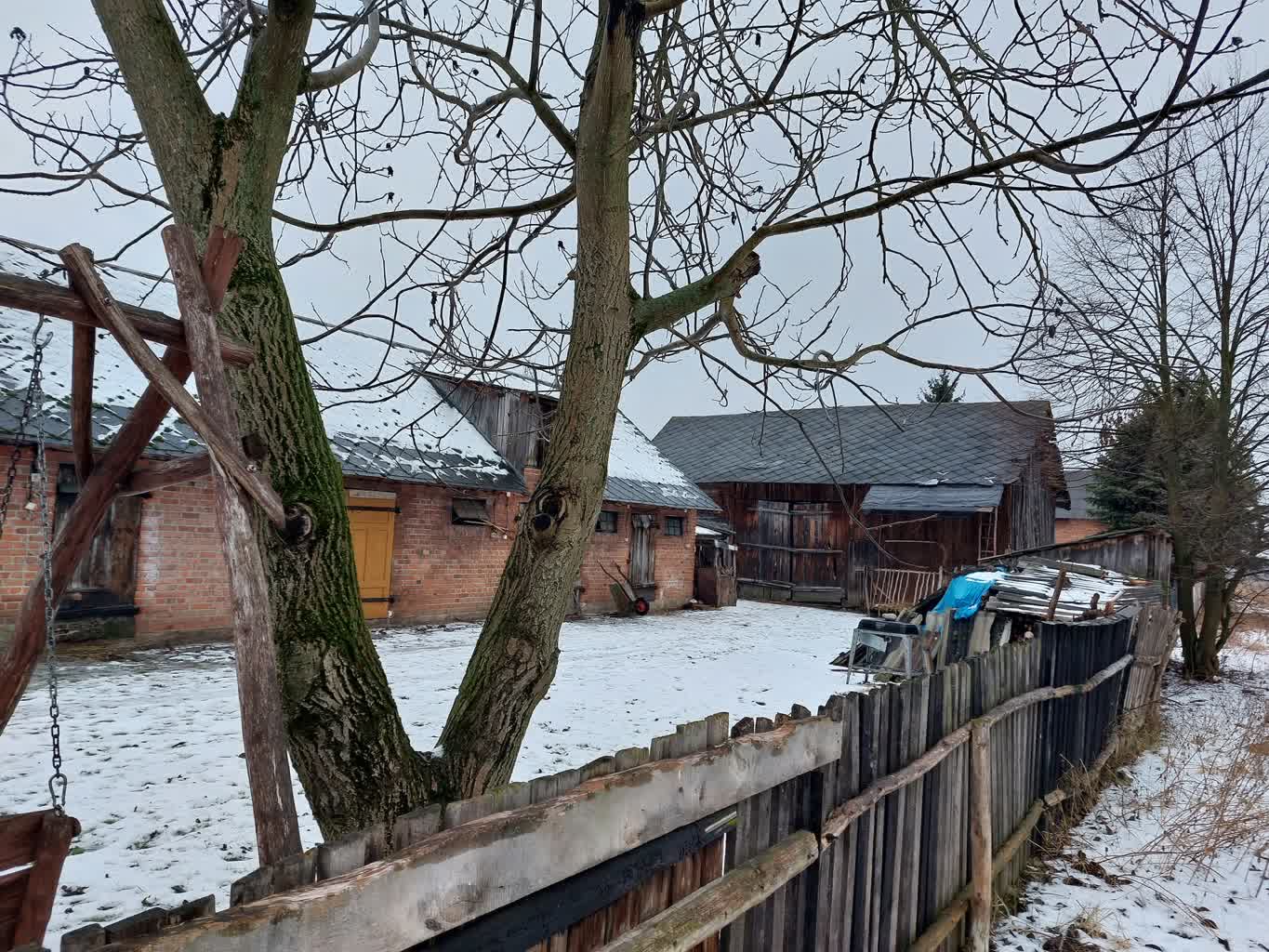 Martwe kozy i zaniedbane psy na opuszczonej posesji. Sprawę bada policja 2 20240118_083548-2024-01-18-111407.jpg