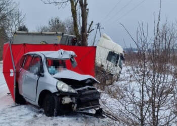 343 235278 2024 01 19 125638