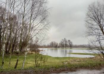 412966077 391948599874361 441008163500765377 n 2024 01 13 112301