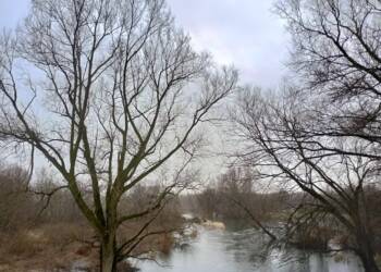 413834740 341160668814247 6331642633589300893 n 2024 01 06 123340