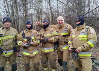 416882374 360963506557388 1260019051423254936 n 2024 01 07 082054