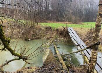 417469810 673334918303226 2517610336667081519 n 2024 01 06 214532