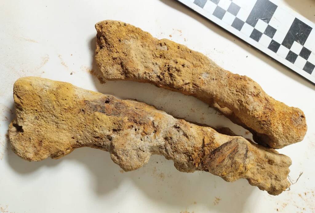 419717877 694998246080521 5089520711361026275 n 2024 01 17 182333