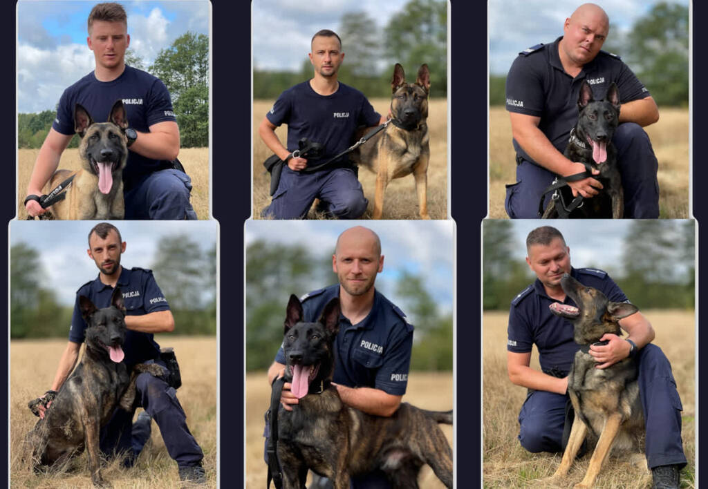 68 235460 g 2024 01 23 122025