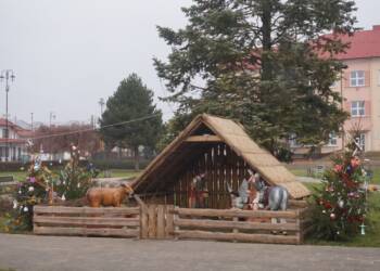 dsc07089 2024 01 01 090957