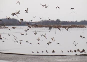 dsc08028 2024 01 13 164615