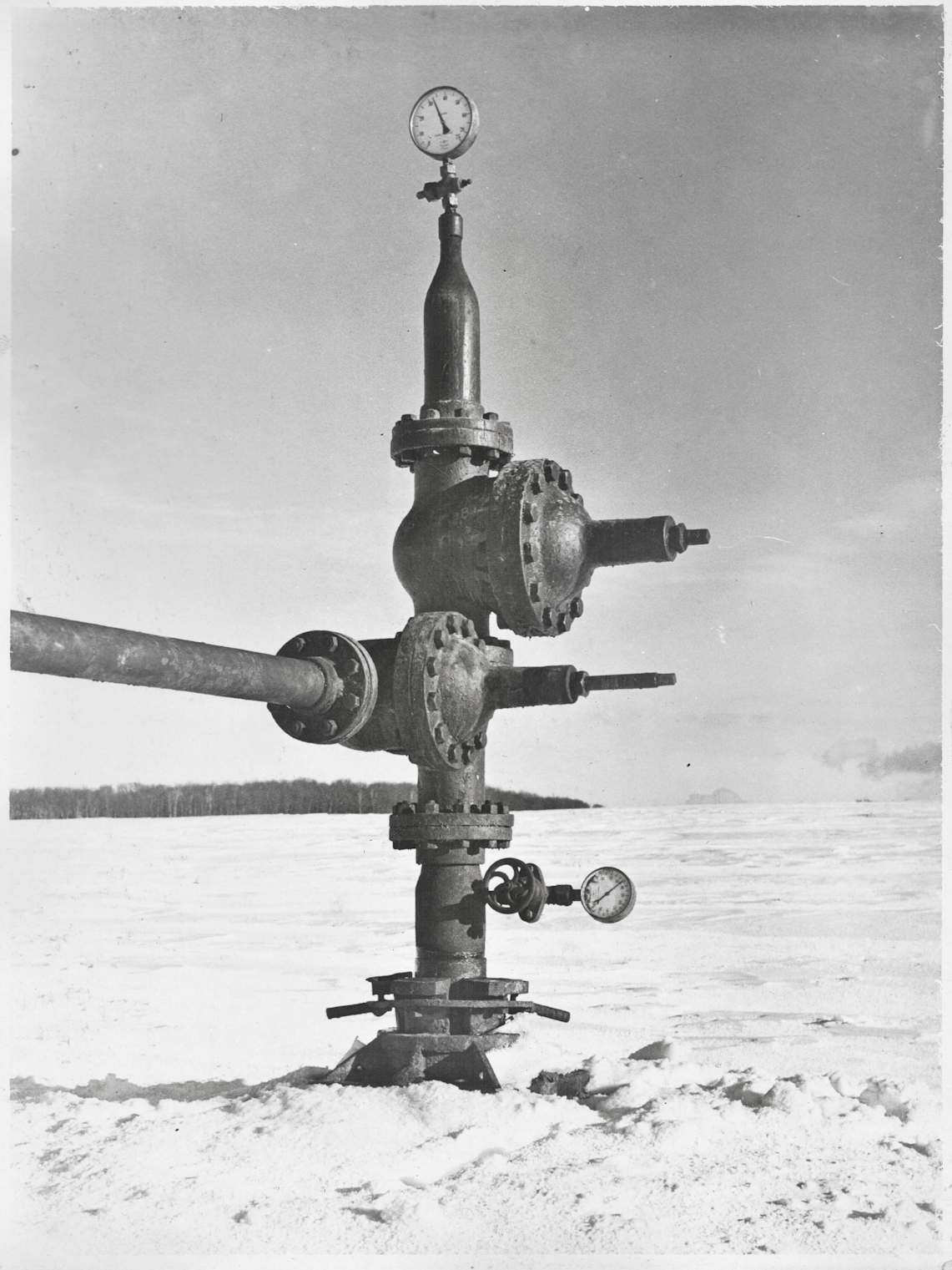 09.01.2024 Magda Grydniewska "Lwowska spółka Gazolina" 3 Gazolina_03_GŁOWICA_WWW_LR.jpg