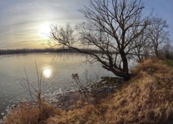 gopr0060 2024 01 01 072654