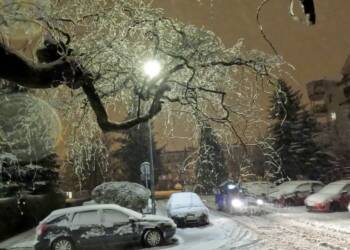 gopr0136 2024 01 01 194221