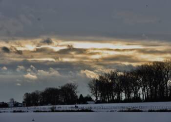 img 1950 2024 01 14 215411