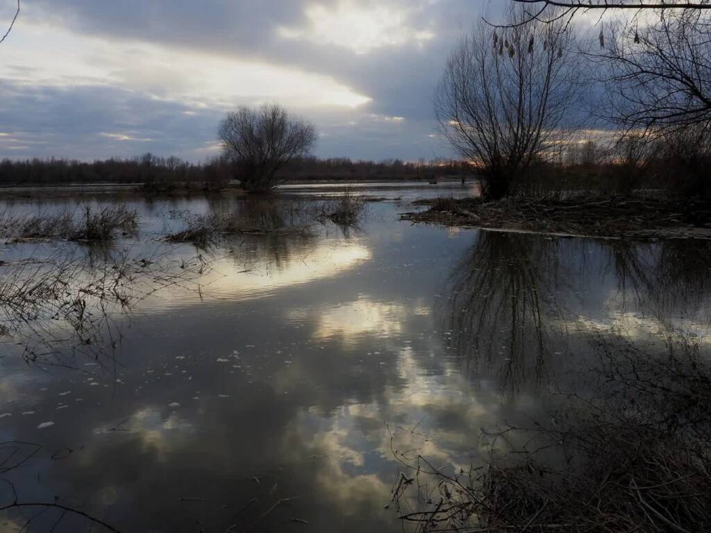 img 20210309 224321 2021 03 10 082233 scaled 2023 03 14 130902 2023 04 10 155042 2024 01 20 093626