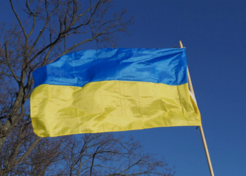 img 20220224 164930 2024 01 01 115736