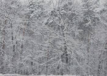 img 20221124 185447 2024 01 09 110007