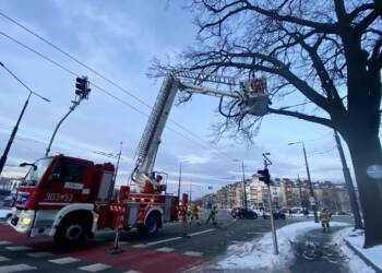 img 9912 2024 01 16 182641