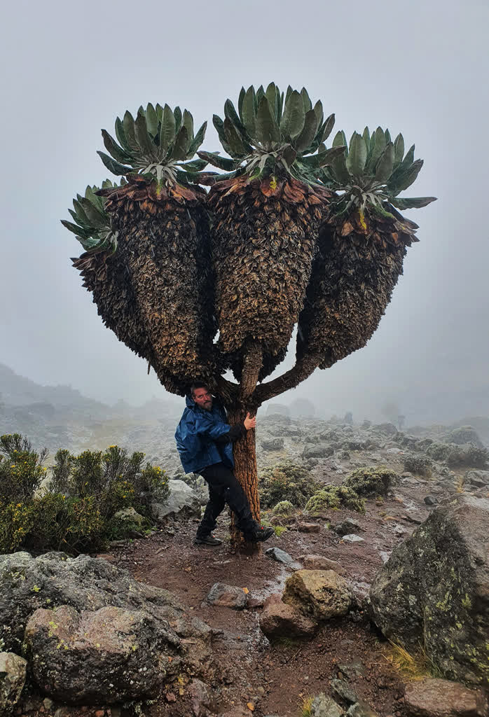 14.01.2024 Podróże małe i duże 2 Kilimandżaro,Tanzania.jpg