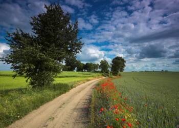 krajna landscape poland 2024 01 02 064307