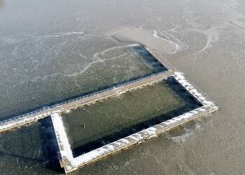 lod 4 2024 01 13 213812