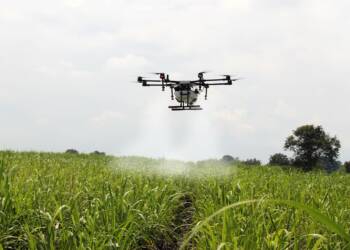 spraying sugar cane 2746350 1280 2024 01 28 141742