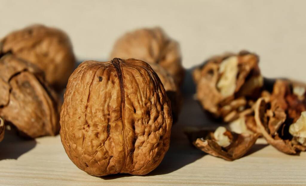 walnuts 1739021 1280 2024 01 06 210535