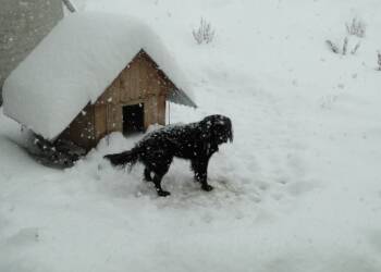 winter 64338 1280 2024 01 08 224256