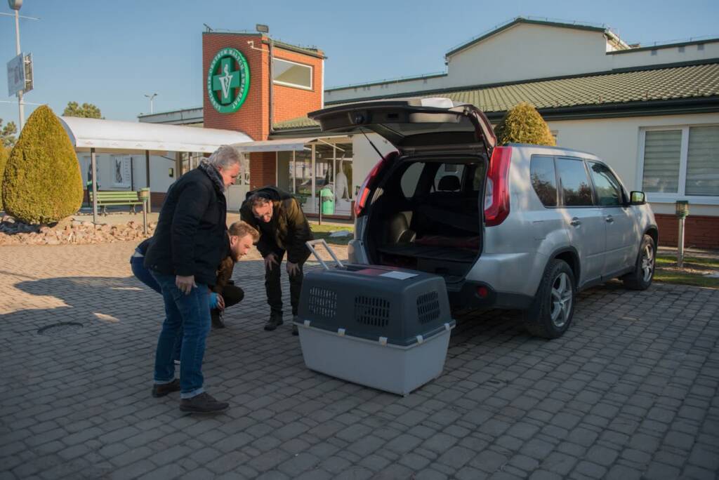 421855623 918451386950401 200613486923613451 n 2024 02 01 183901