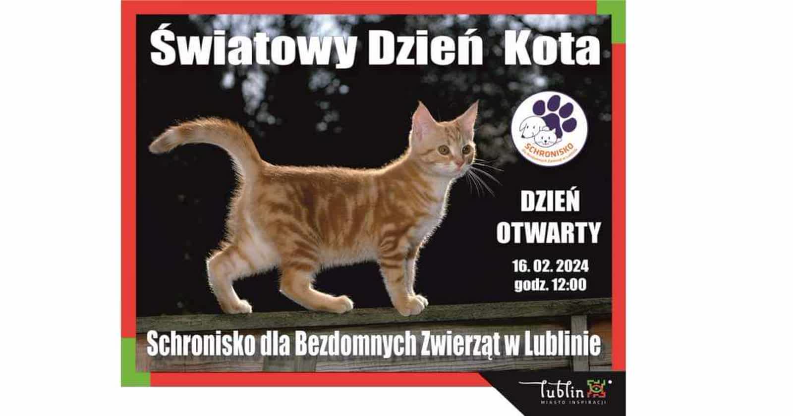 Adoptuj zwierzaka i posłuchaj specjalistów. Dzień Otwarty w lubelskim schronisku 2 422952080_358681190264565_560478955881404572_n.jpg