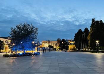 baobab na placu litewskim podswietlony na niebiesko fot. miasto lublin 2024 02 29 134858