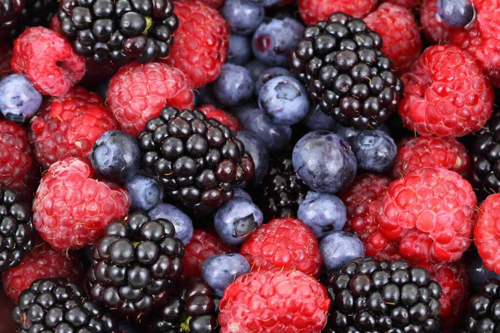 berries 2277 1280 2024 02 01 150003