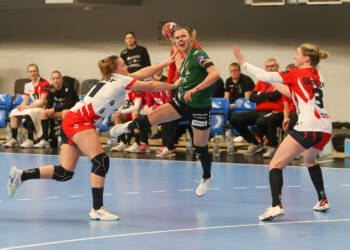 bq8v6017 2024 02 03 194741