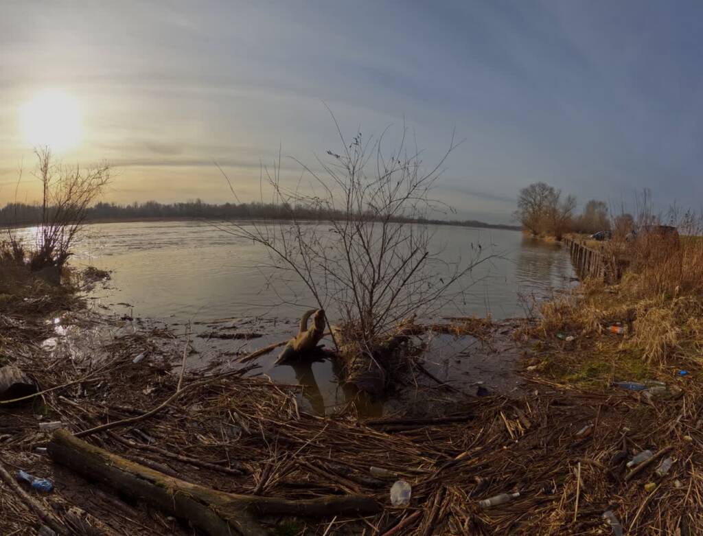 gopr0056 2024 02 08 145314