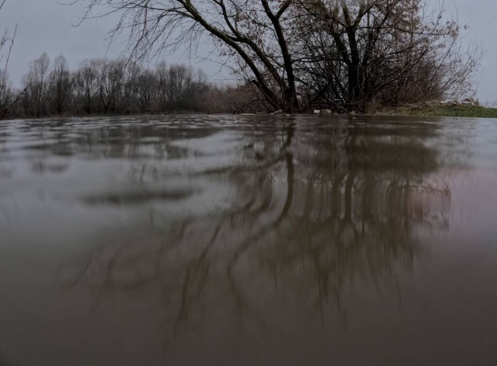 gopr0257 2024 02 14 185813