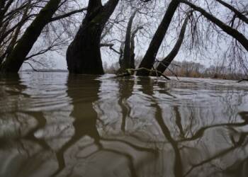 gopr0283 2024 02 09 205649