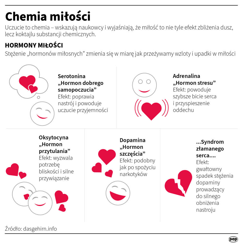 Chemia miłości? To kombinacja hormonów, neuroprzekaźników i innych związków 3 igrafika_20240213_10.png