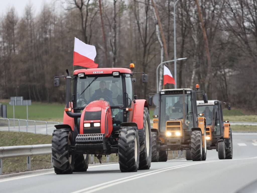 img 9613 2024 02 22 201347 2024 02 26 165959