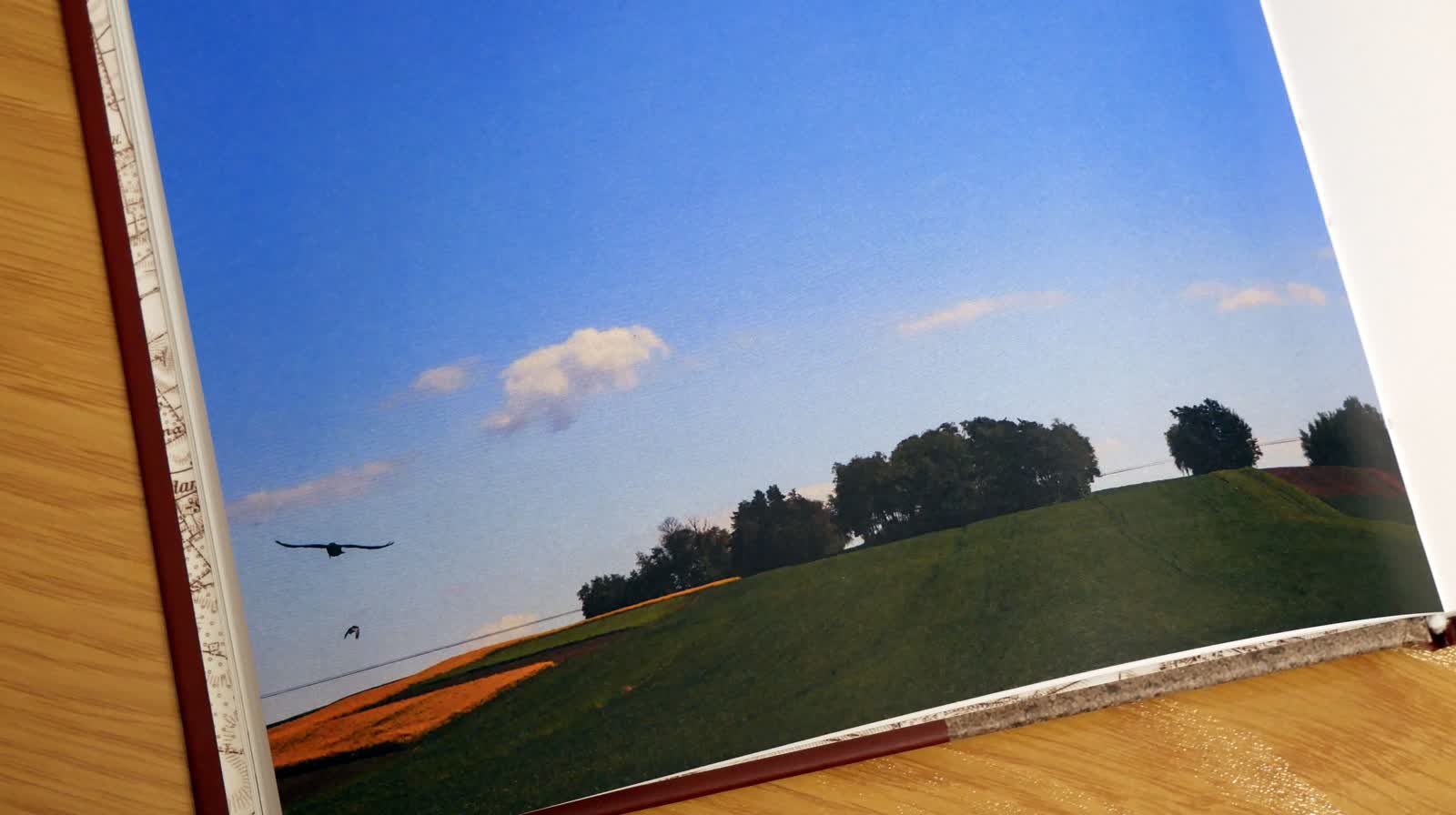 11.02.2024 Magda Grydniewska "Krzyże Jabłonny" 2 jabłonna1.jpg