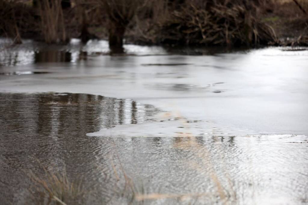 pm bug 050224 010 2024 02 05 195028 2024 02 06 072944