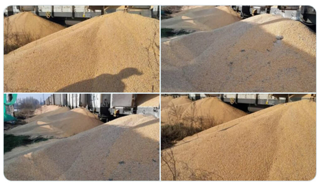 Wicepremier Ukrainy: w Polsce zniszczono 160 ton naszego zboża 1 zboze 2024 02 25 164107