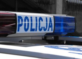 297 50488 2024 03 07 083435