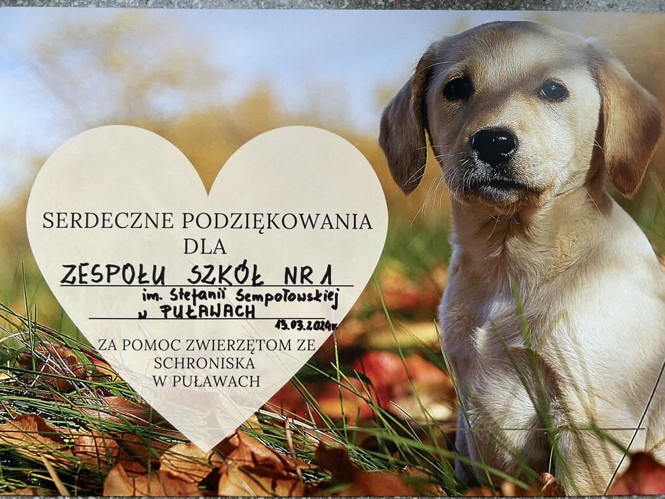 „Daj piątaka dla zwierzaka". Puławscy uczniowie pomogli schronisku 2 432280467_907548978040575_1448880301857427010_n.jpg