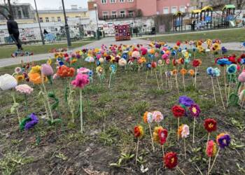 432459307 962715345243887 6462033887126654827 n 2024 03 21 205107