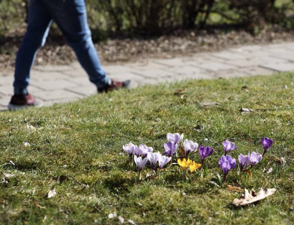 88c08f44 cda0 4a56 a62c 10254f977217 2023 03 18 185306 2024 03 23 075250