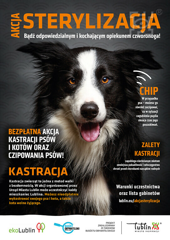 Ruszyła akcja sterylizacji psów i kotów. Lista gabinetów w Lublinie 2 Akcja sterylizacja - plakat Miasto Lublin.jpg