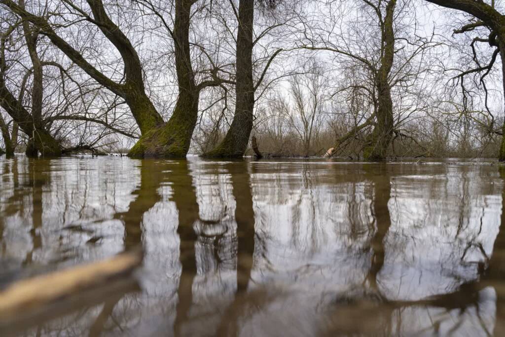 Lubelskie: trzy rzeki powyżej stanu ostrzegawczego 1 dsc00290 2024 03 14 075453