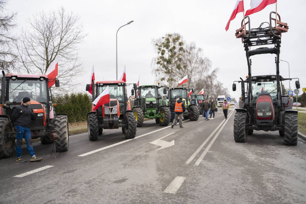 dsc00886 2024 03 19 060135