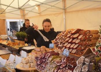 dsc02219 2024 03 08 223358