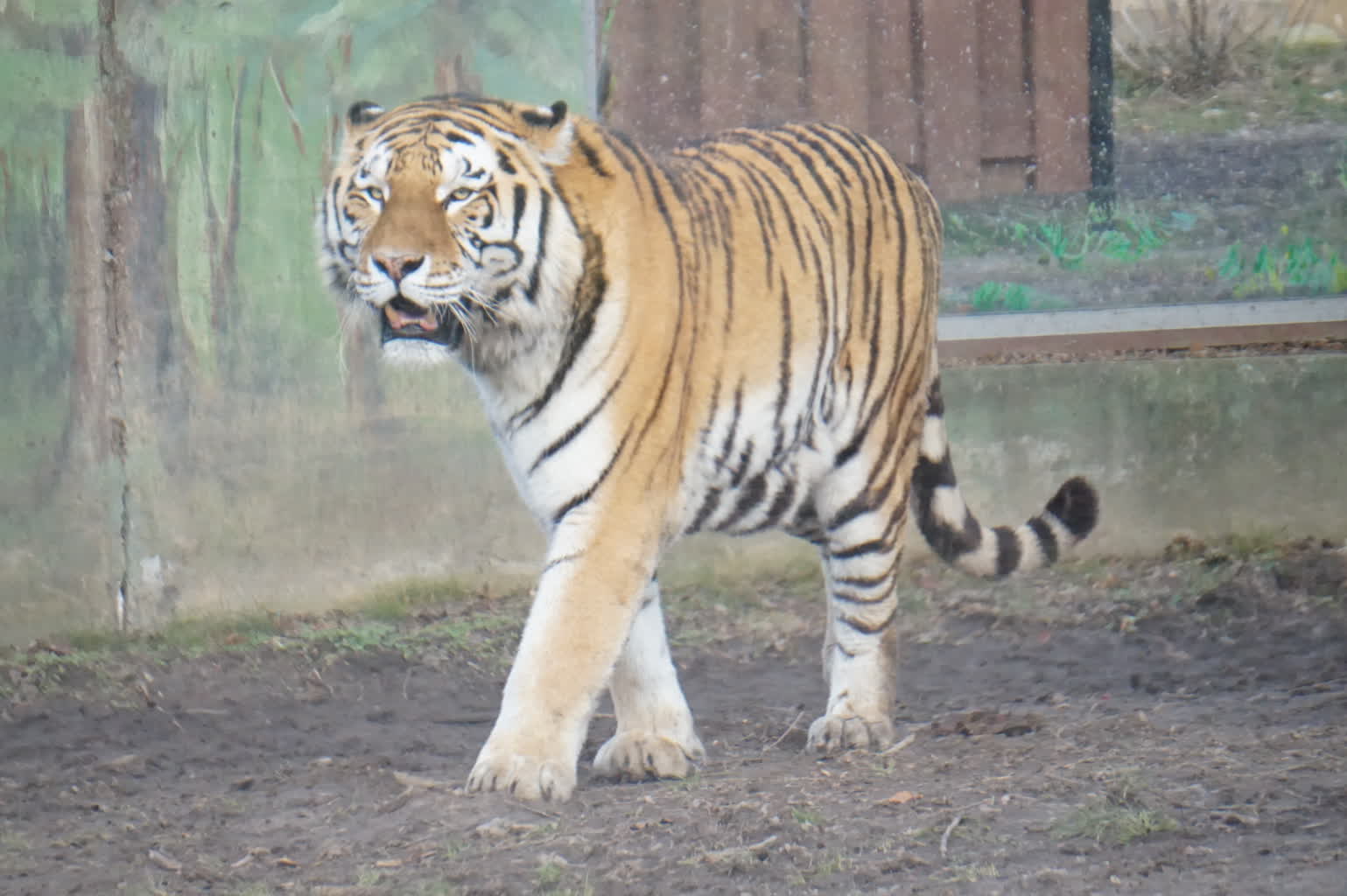 Jak spędzić czas w święta? Ciekawe propozycje w Lubelskiem 2 DSC06992.JPG